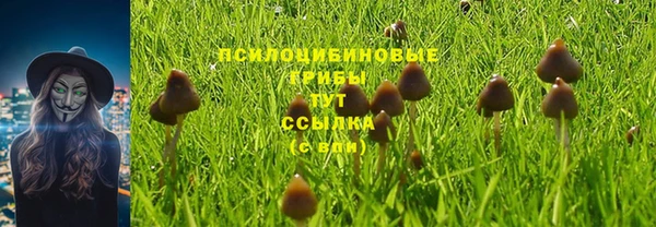 стаф Сосновоборск
