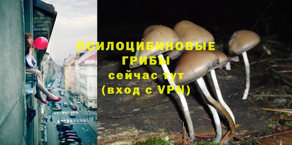 соль ск Сосновый Бор